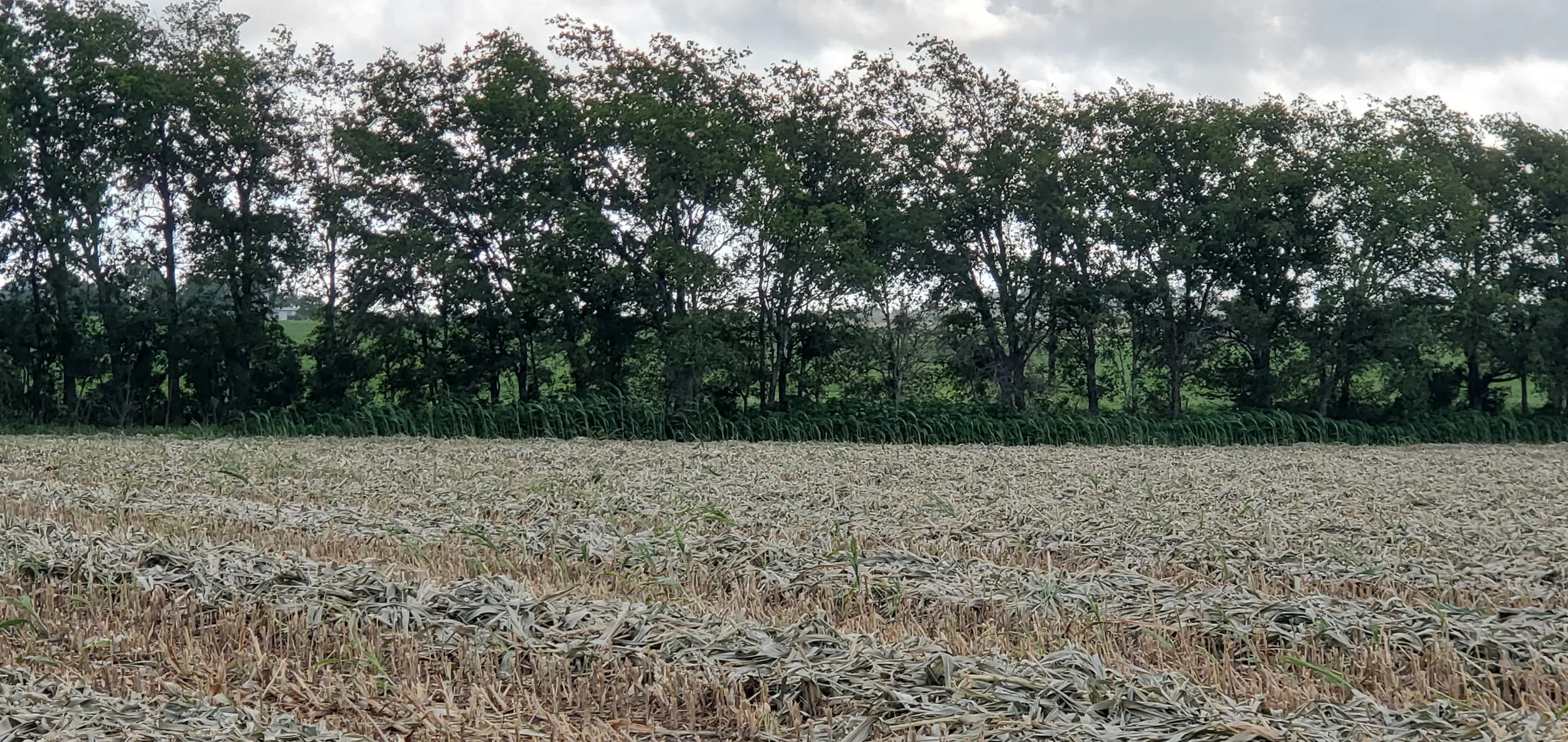 20250621_083453.jpg