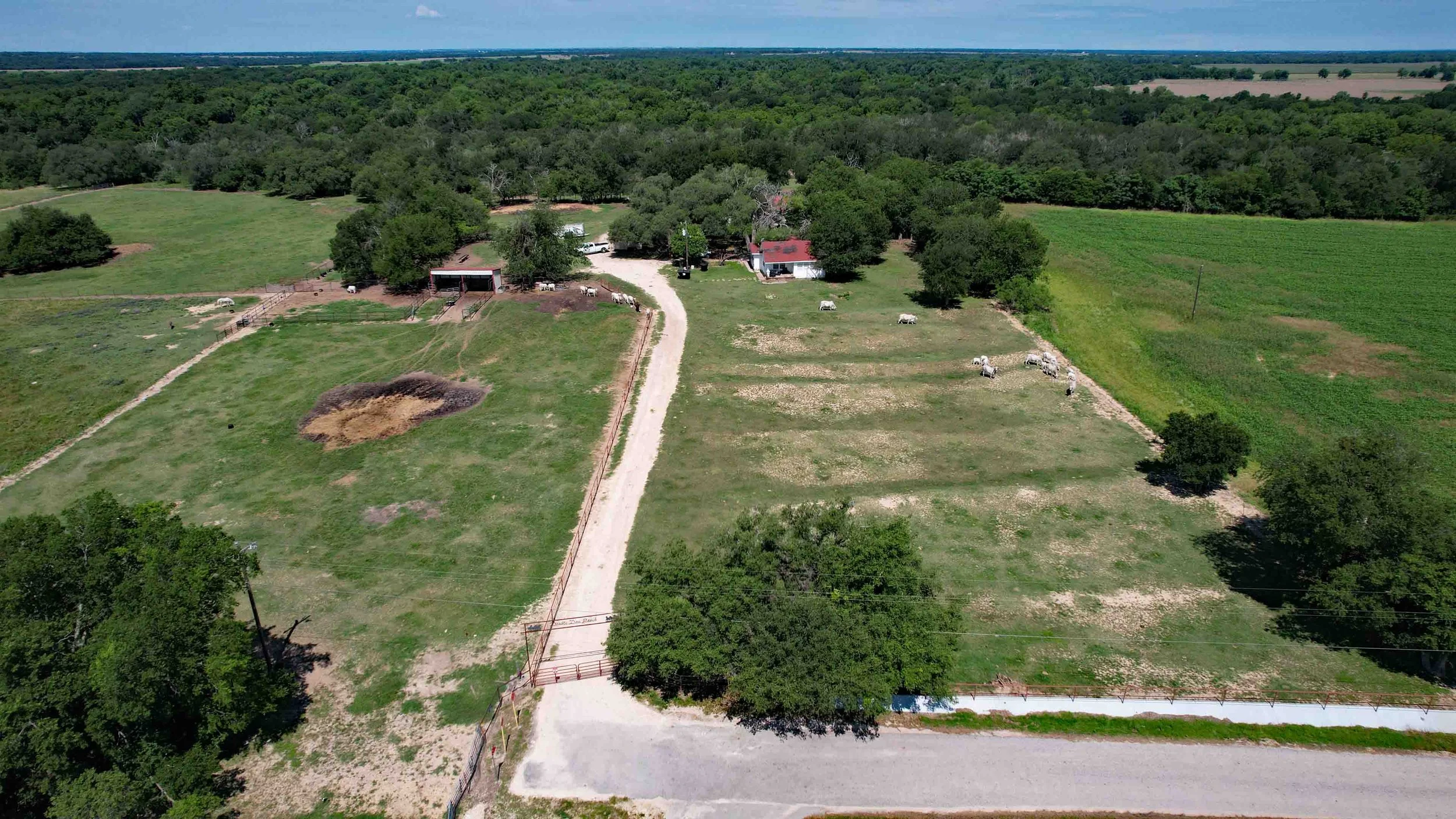 DJI_0077.JPG