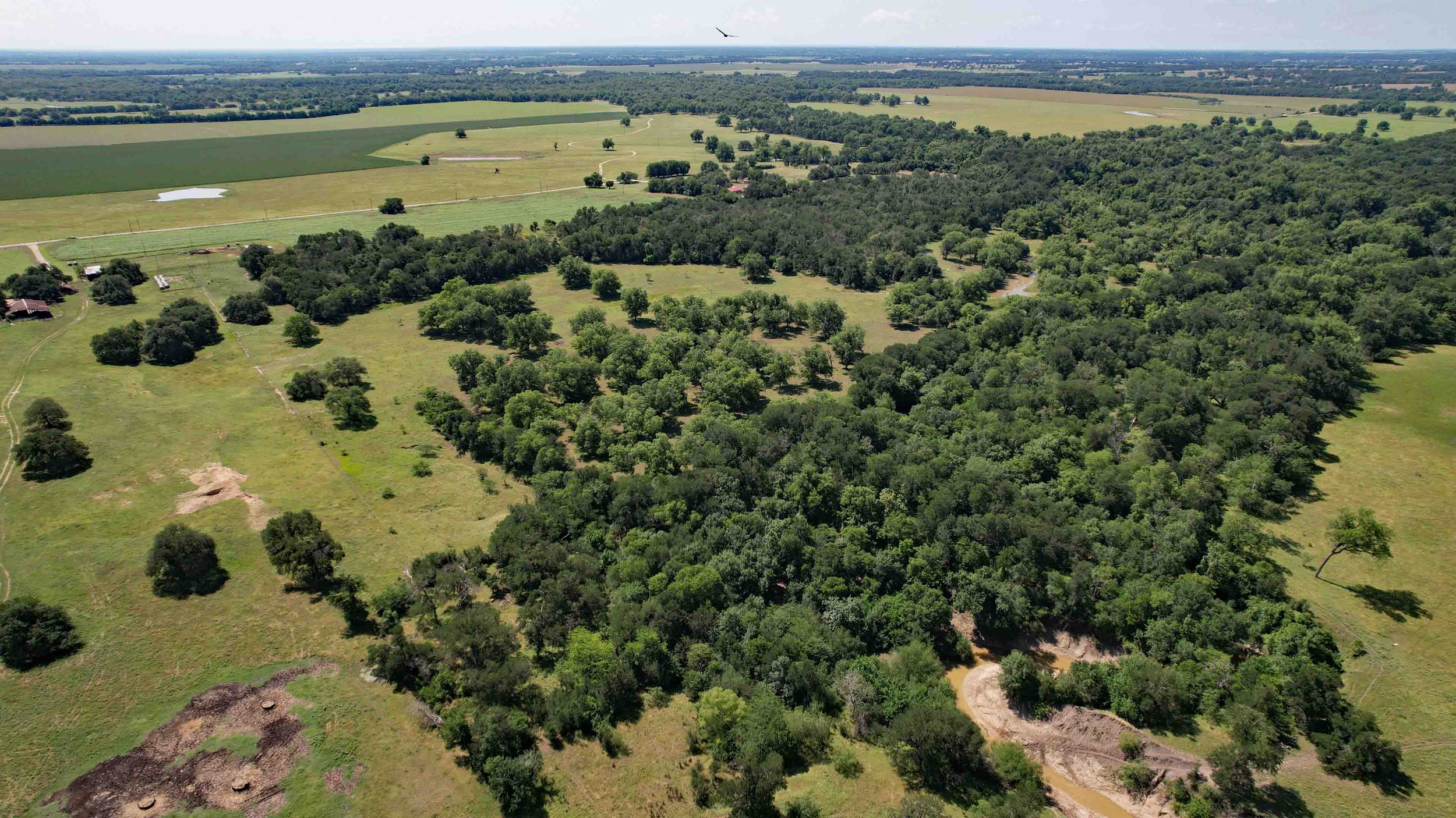 DJI_0068.JPG