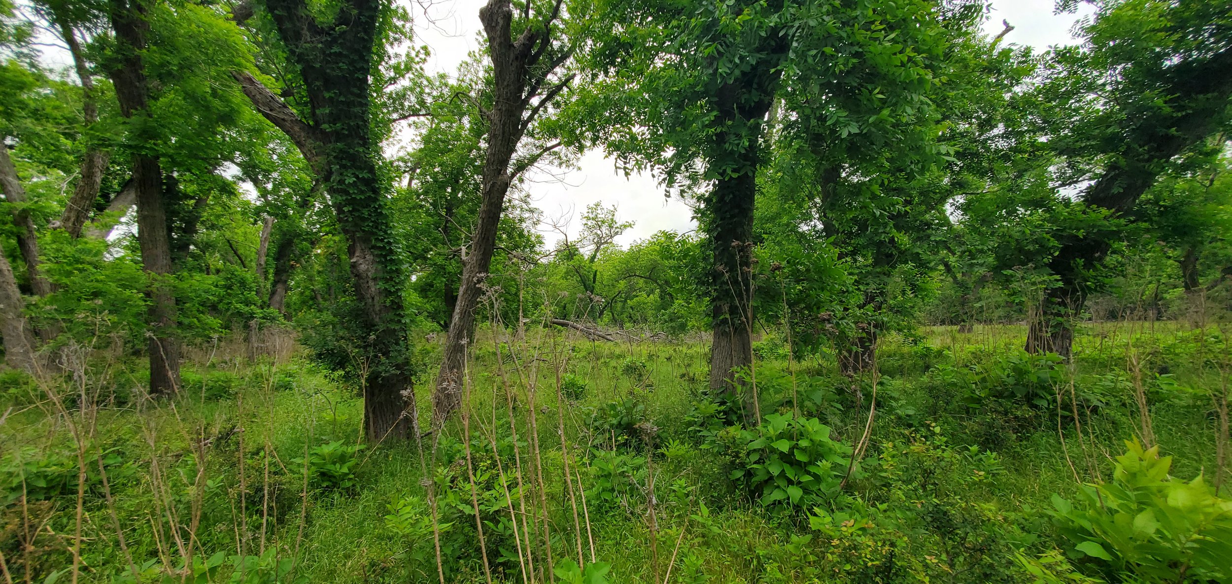 20260505_131628.jpg