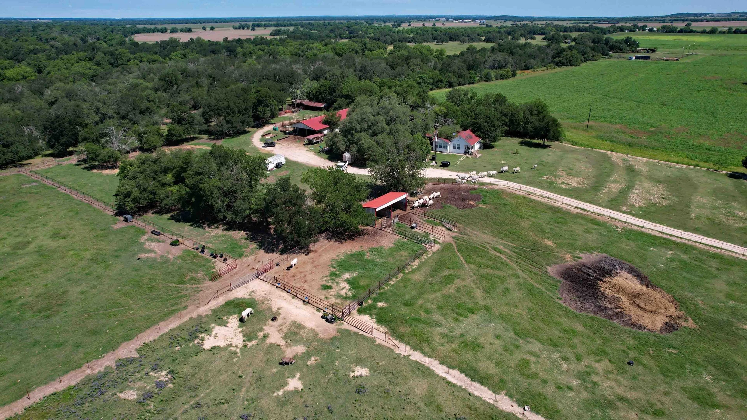 DJI_0079.JPG