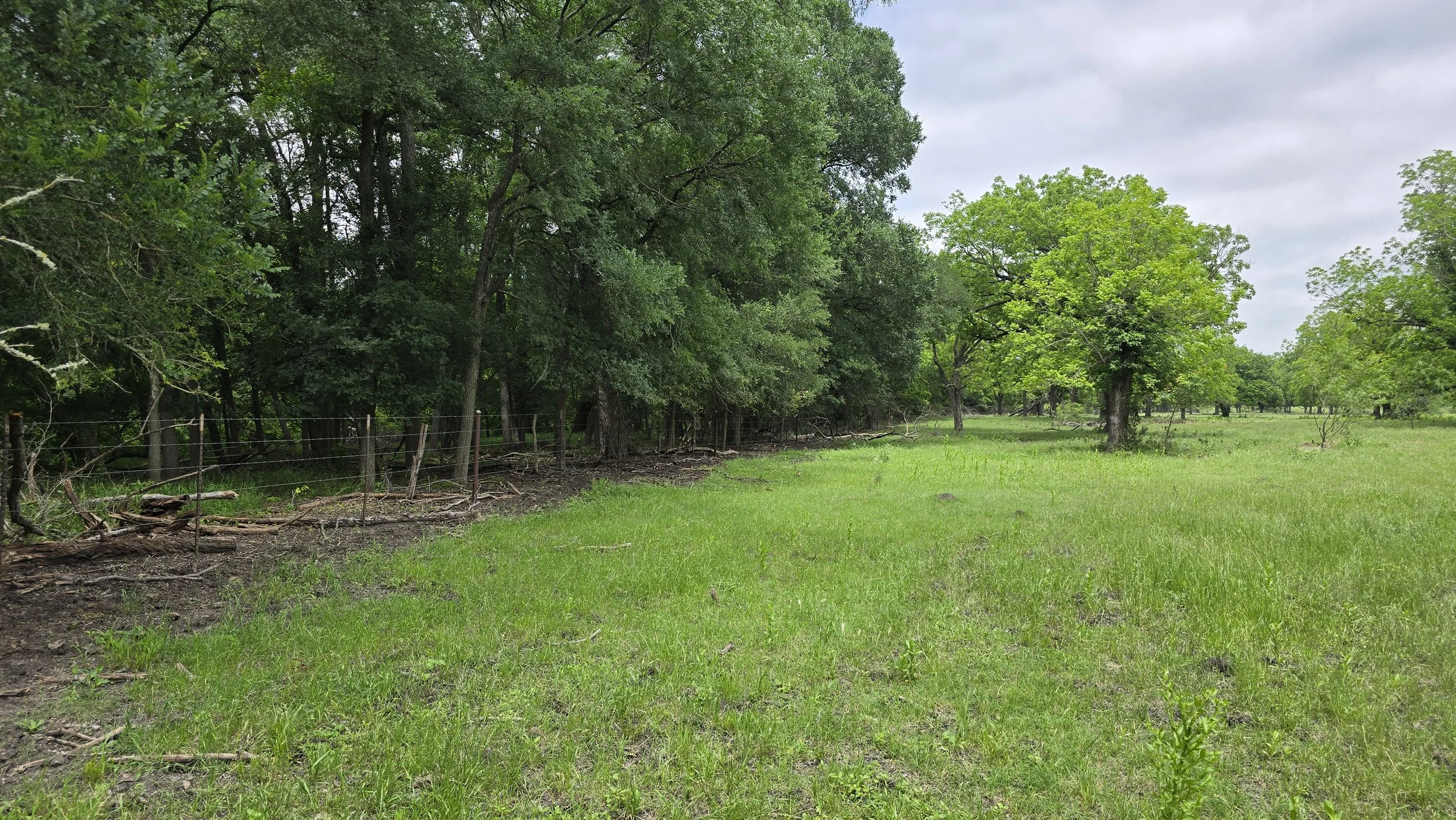 20260505_134009.jpg