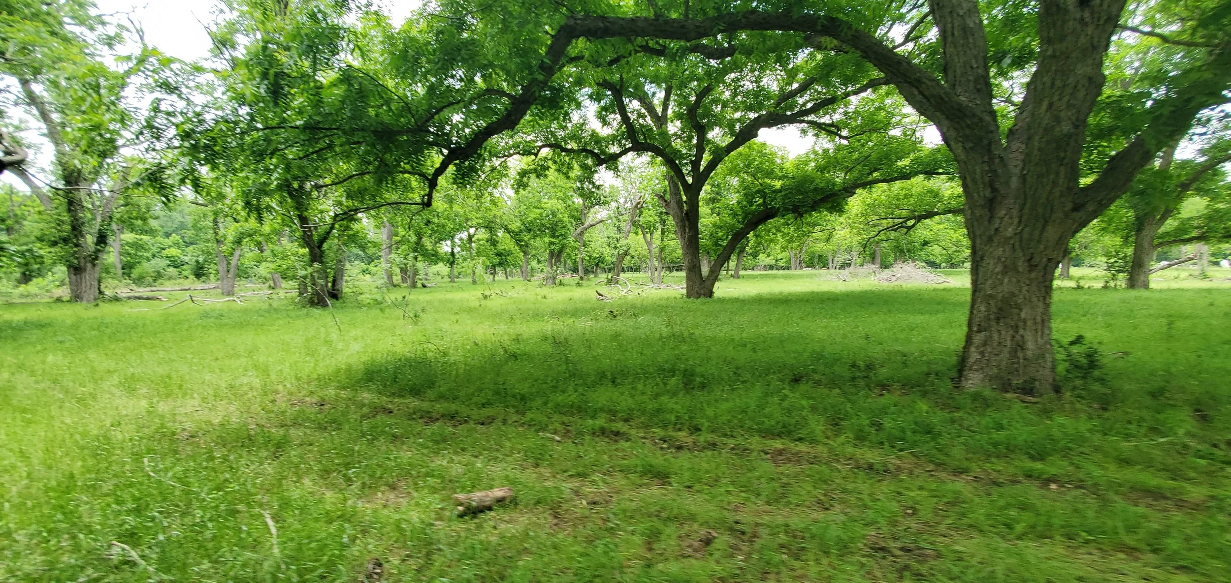 20260505_133420.jpg