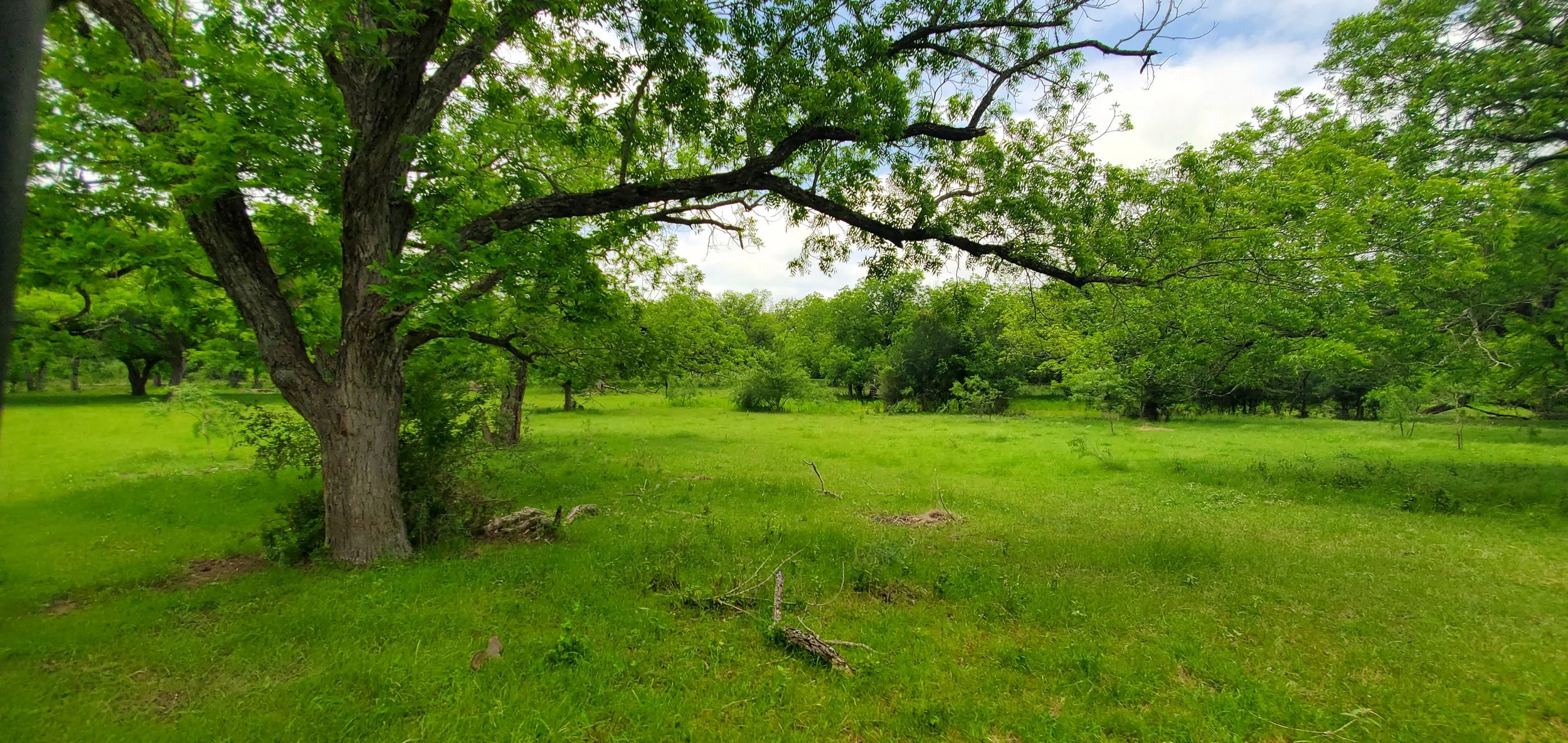 20260505_133348.jpg