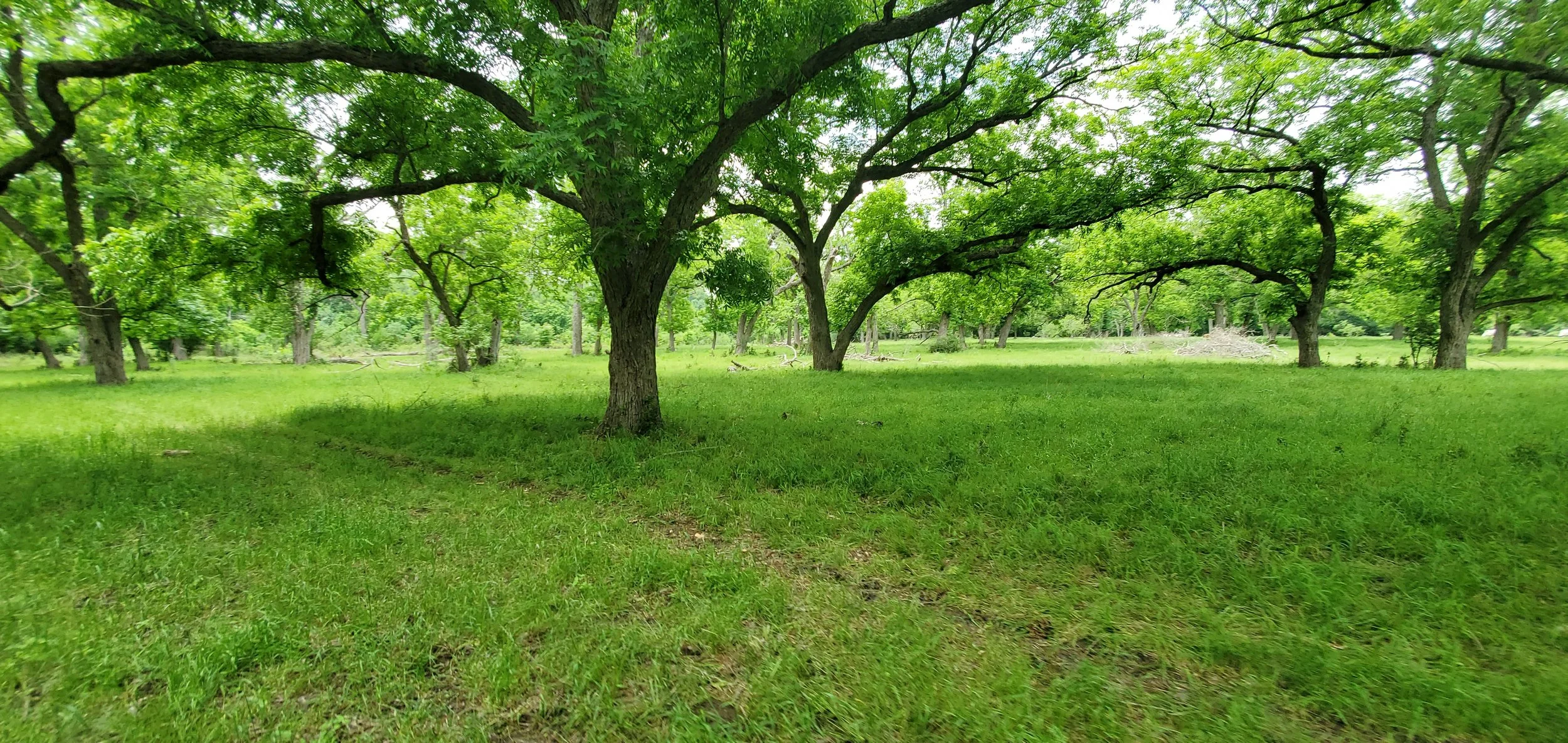 20260505_133417.jpg