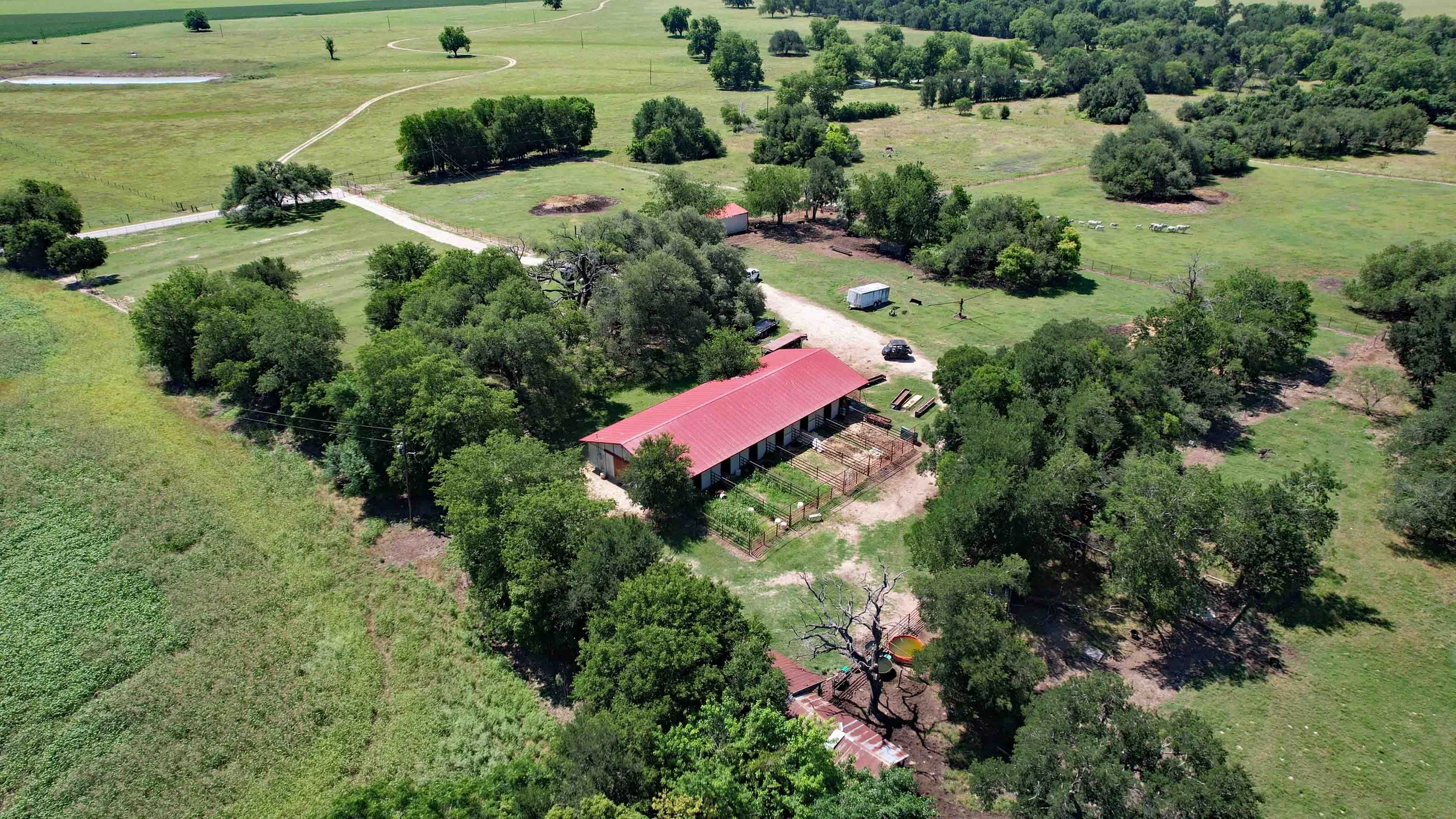 DJI_0083.JPG