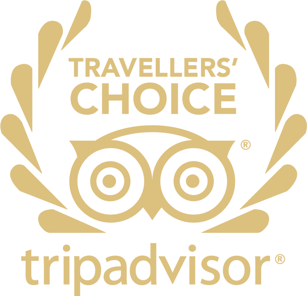 Travel choice. TRIPADVISOR choice логотип. Travellers choice TRIPADVISOR 2020. Логотип в европейском стиле. Hotel Advisors лого.