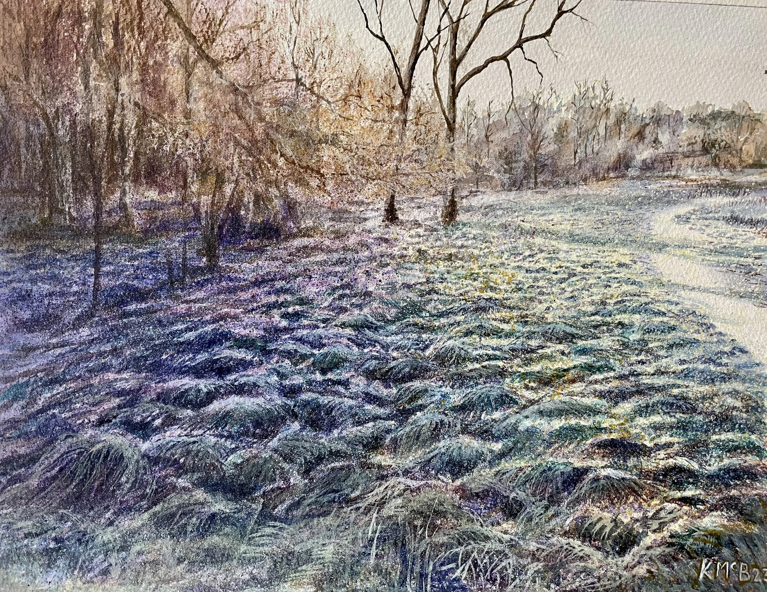 2. Rainbow_frost1.jpg