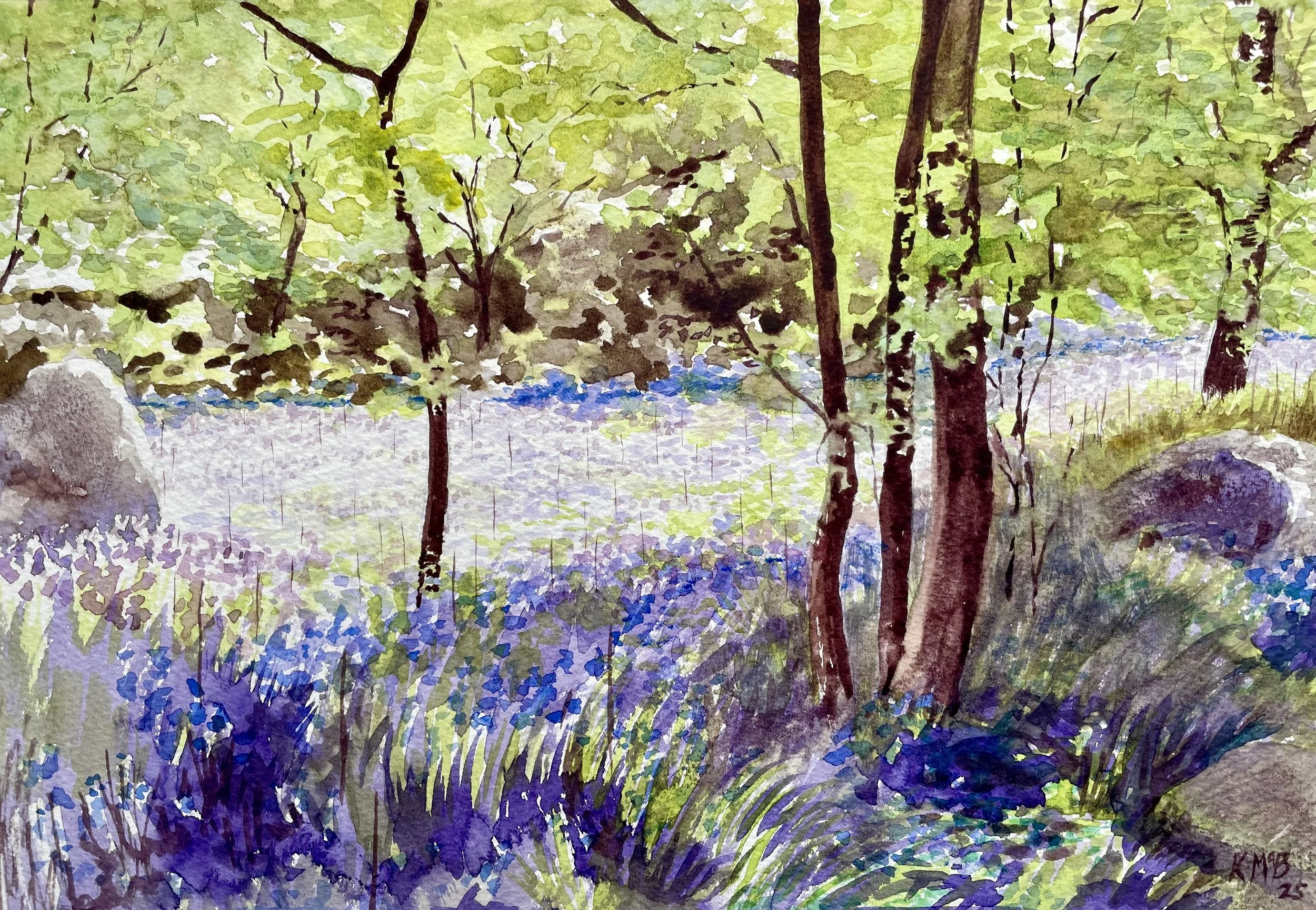 4.Bluebells in Sunshine.jpg