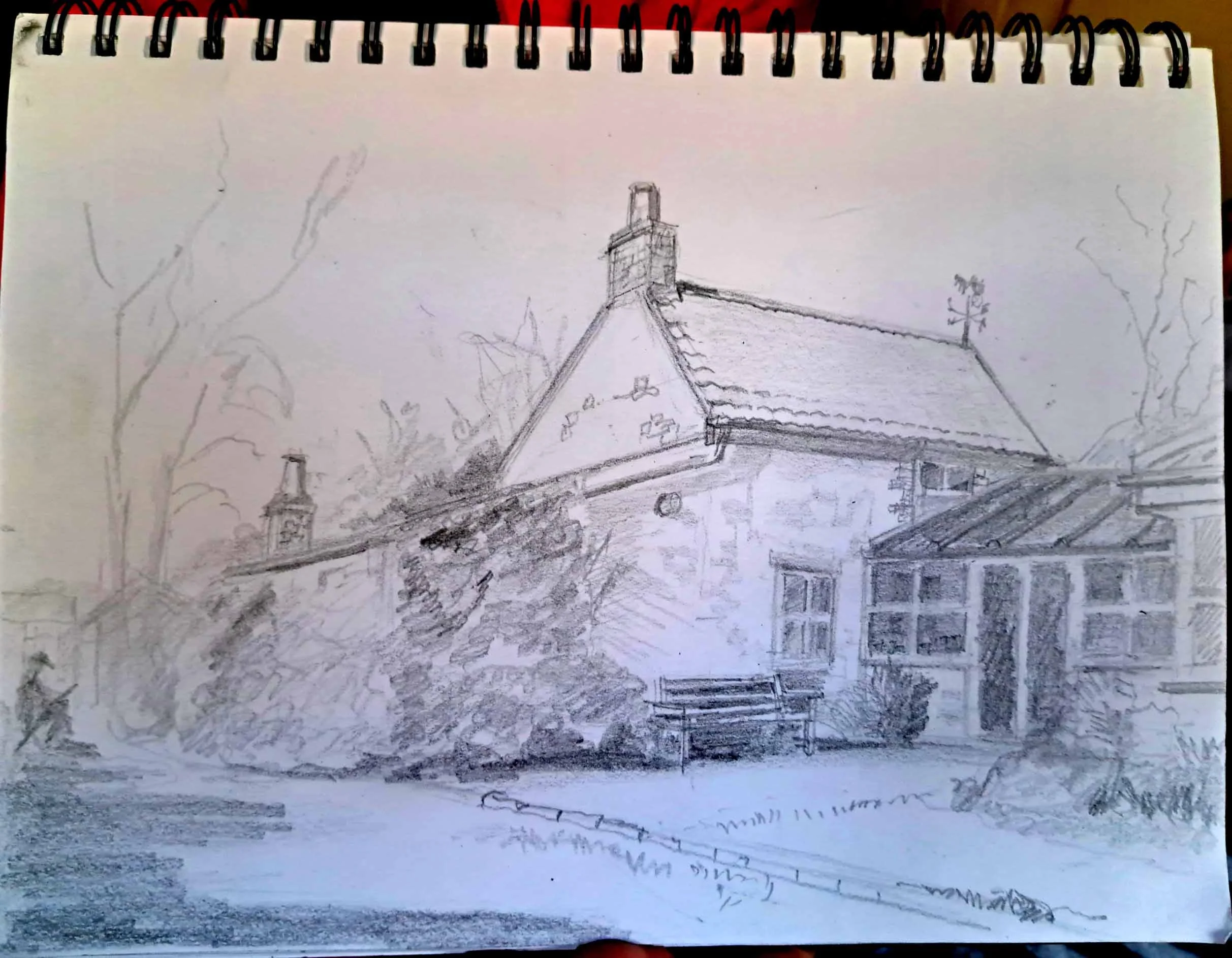 sketching photo Shirley nov 2025 10 crop enh.jpg