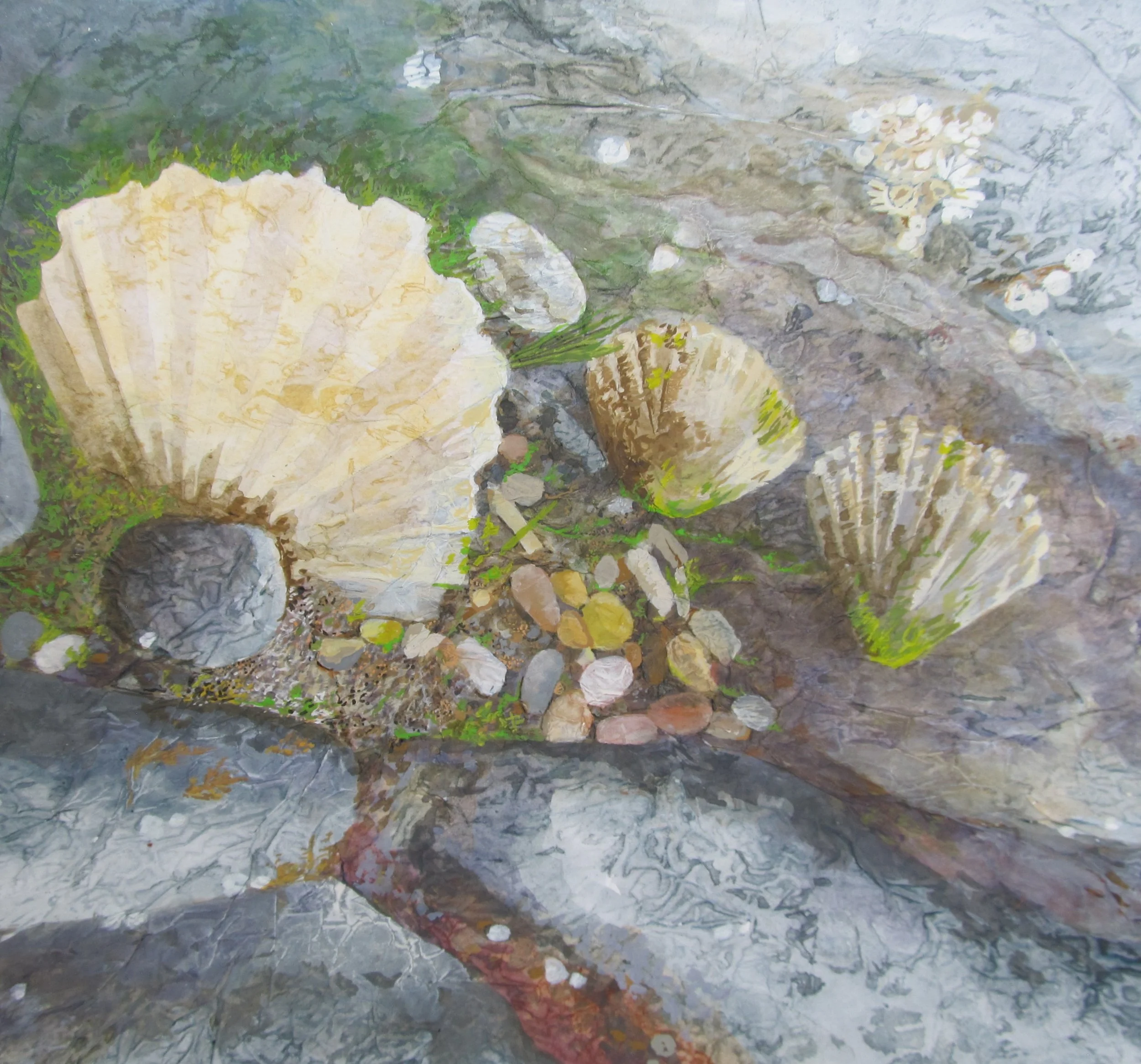 Dee_R_Low Tide, Falmouth_2026.JPG
