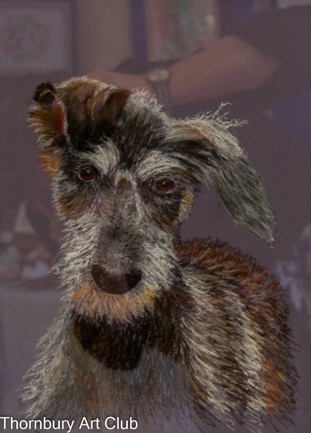 72dpi- (336 of 143).jpg