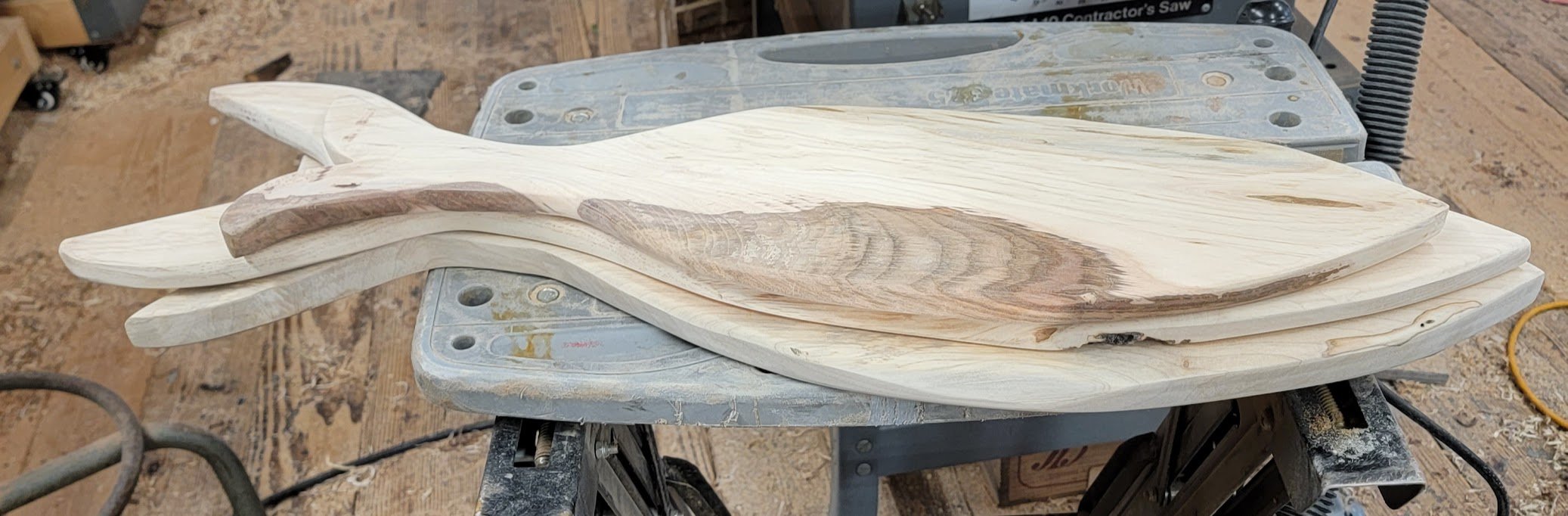 fish in process2.jpg