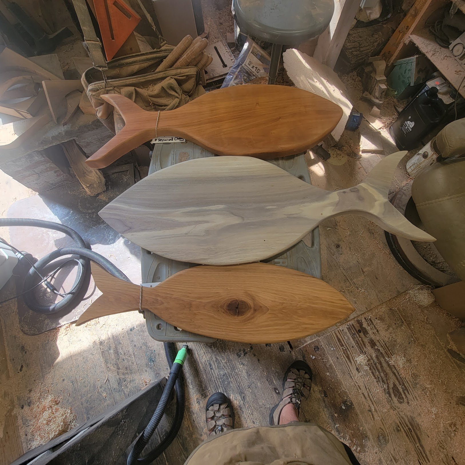 fish boards.jpg
