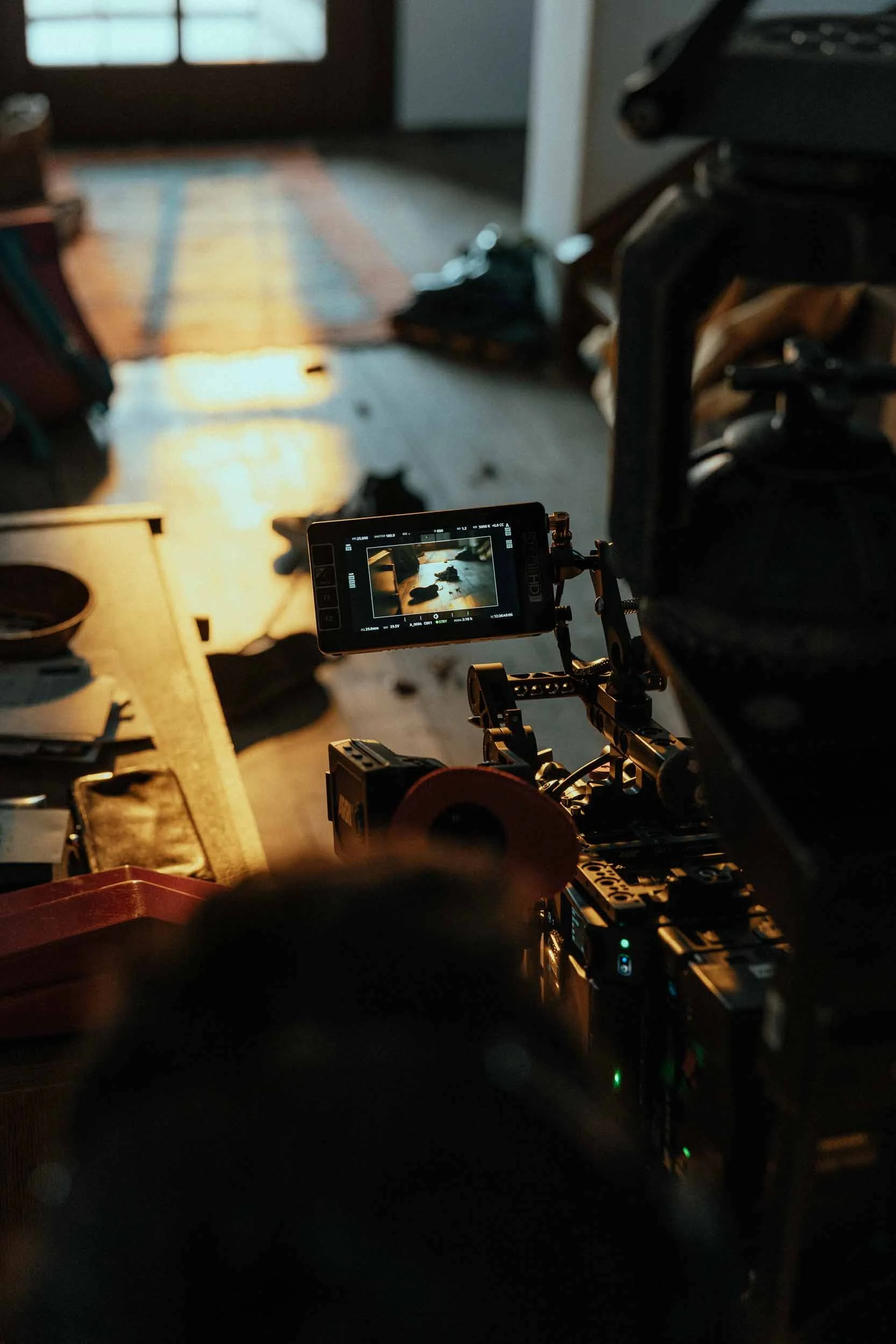 2501_BGL-02_M0A0303_BTS-small.jpg