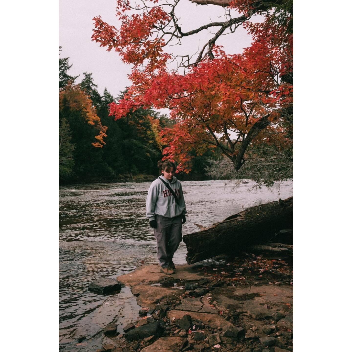 crimson november