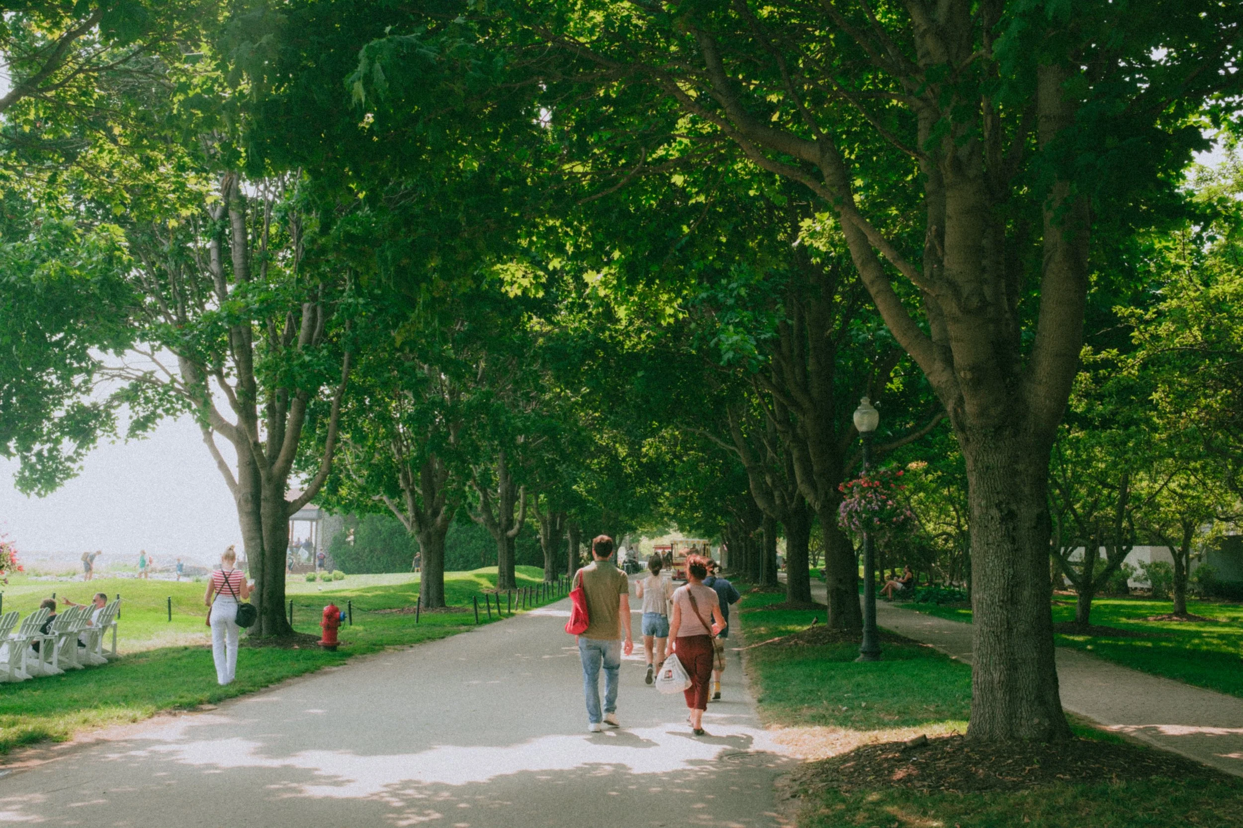 Mackinac islee-10.jpg