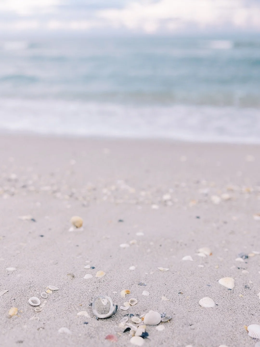 My beach minis were the sweetest way to close out summer: salty breeze, sandy toes, and families soaking up every last bit of that soft coastal glow. 🌊✨
Now I’m easing into fall family sessions: chasing golden light, but this time it’s