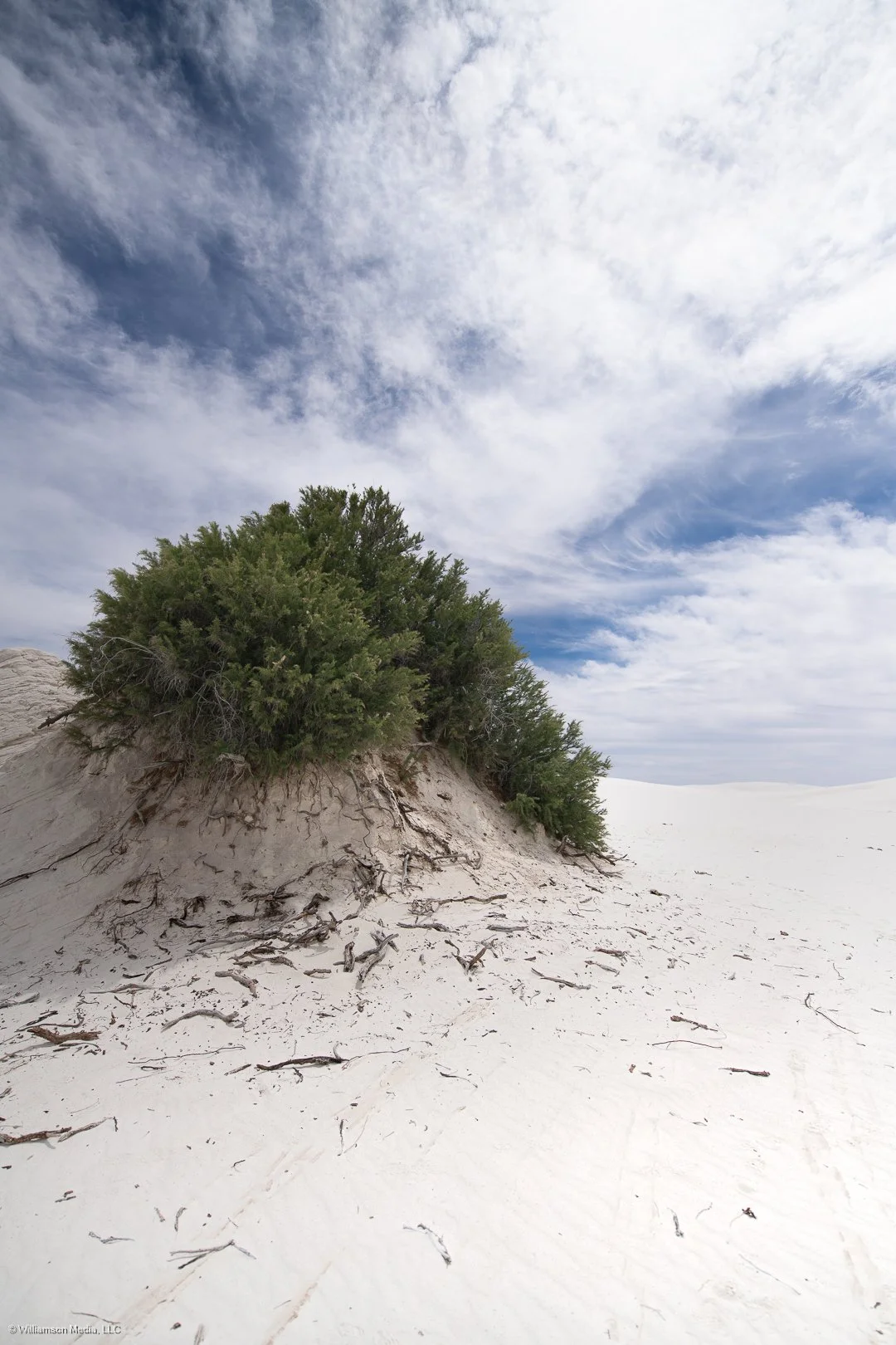 White Sands_1.jpg