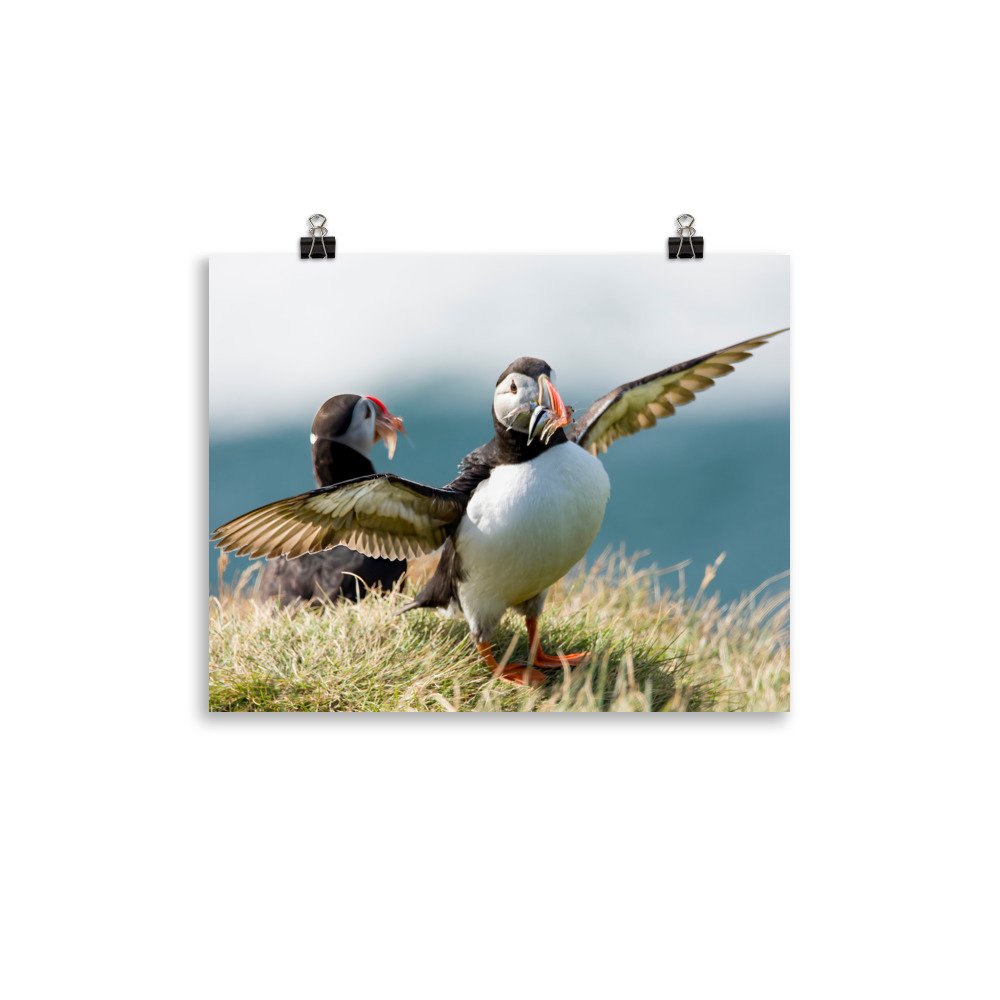 enhanced-matte-paper-poster-(in)-11x14-transparent-65426b4d88a9c.jpg