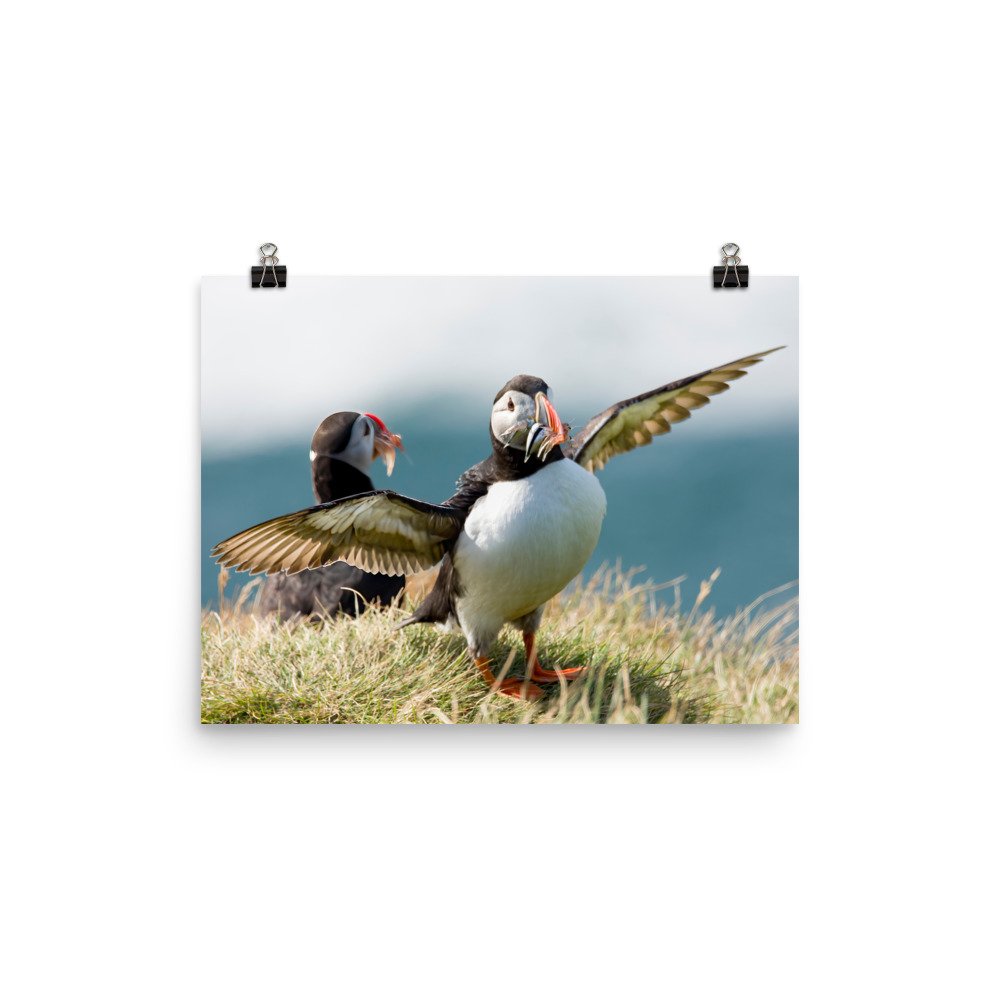 enhanced-matte-paper-poster-(in)-12x16-transparent-65426b4d88b23.jpg