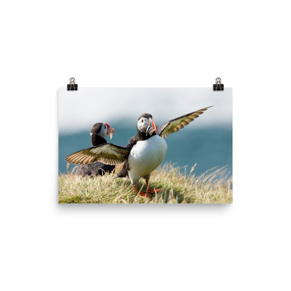 enhanced-matte-paper-poster-(in)-12x18-transparent-65426b4d88b96.jpg