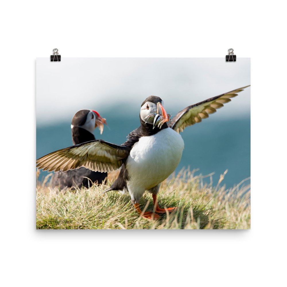 enhanced-matte-paper-poster-(in)-16x20-transparent-65426b4d88c28.jpg