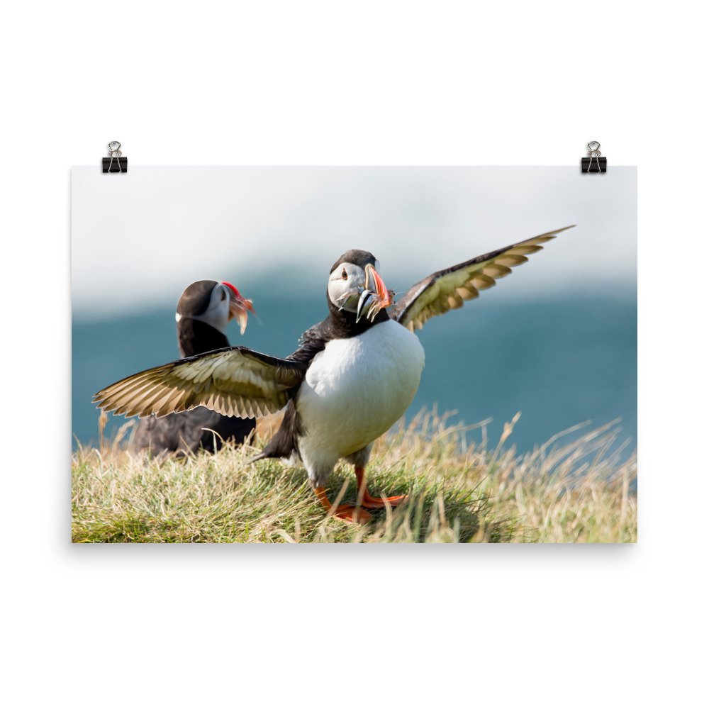 enhanced-matte-paper-poster-(in)-24x36-transparent-65426b4d88dbb.jpg