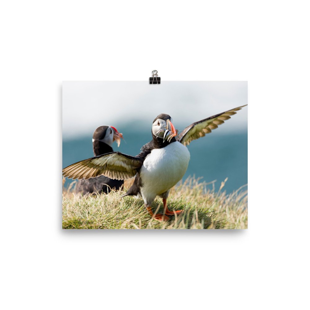 enhanced-matte-paper-poster-(in)-8x10-transparent-65426b4d88e4f.jpg