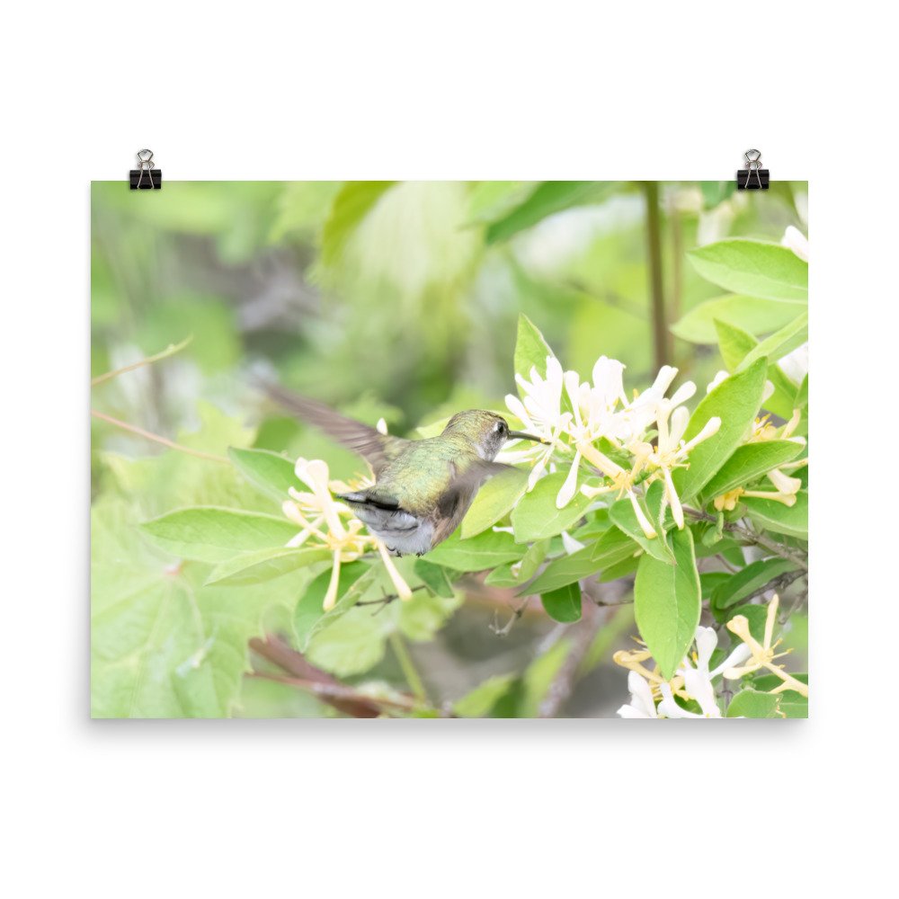 enhanced-matte-paper-poster-(in)-18x24-transparent-65426b8c35dca.jpg