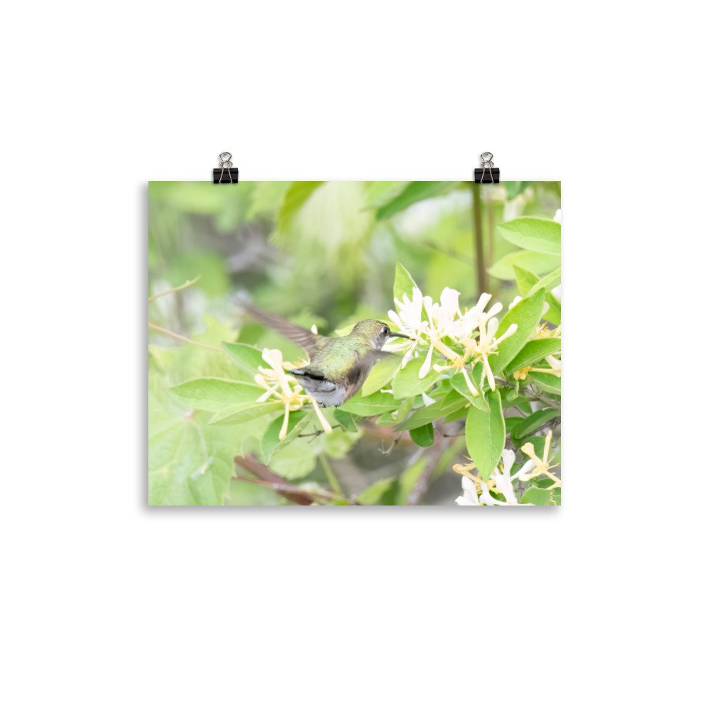 enhanced-matte-paper-poster-(in)-11x14-transparent-65426b8c36fd8.jpg