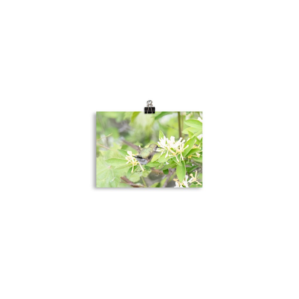 enhanced-matte-paper-poster-(in)-5x7-transparent-65426b8c373de.jpg