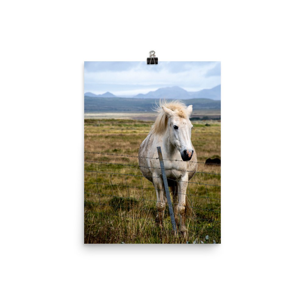 enhanced-matte-paper-poster-(in)-12x16-transparent-65ce58bd3239b.jpg