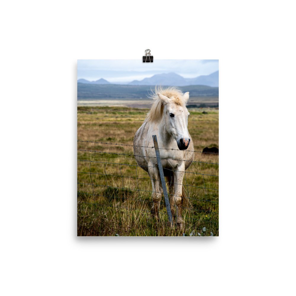enhanced-matte-paper-poster-(in)-8x10-transparent-65ce58bd328b1.jpg