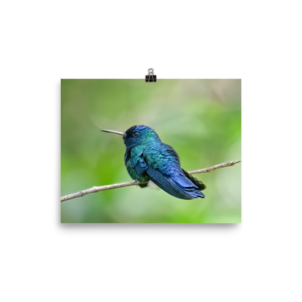enhanced-matte-paper-poster-(in)-8x10-transparent-65ce66d03e73b.jpg