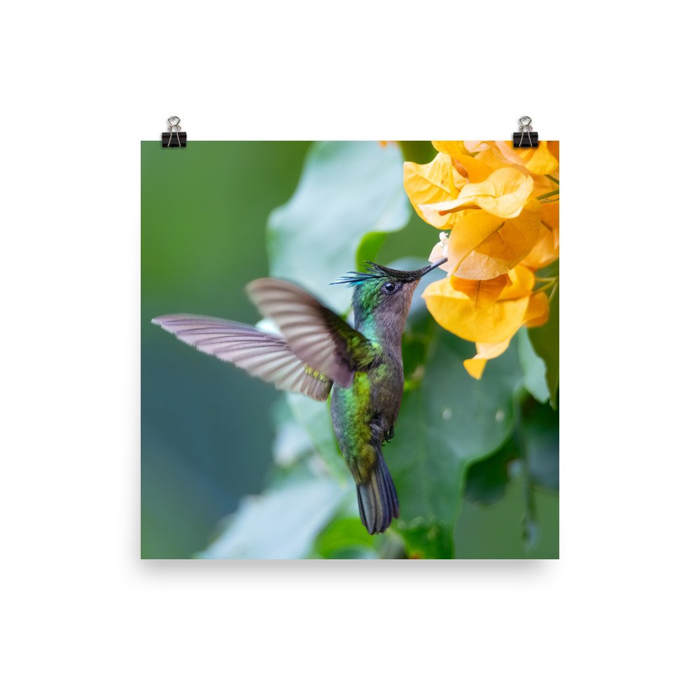 enhanced-matte-paper-poster-(in)-18x18-transparent-65ce6c9c86c27.jpg