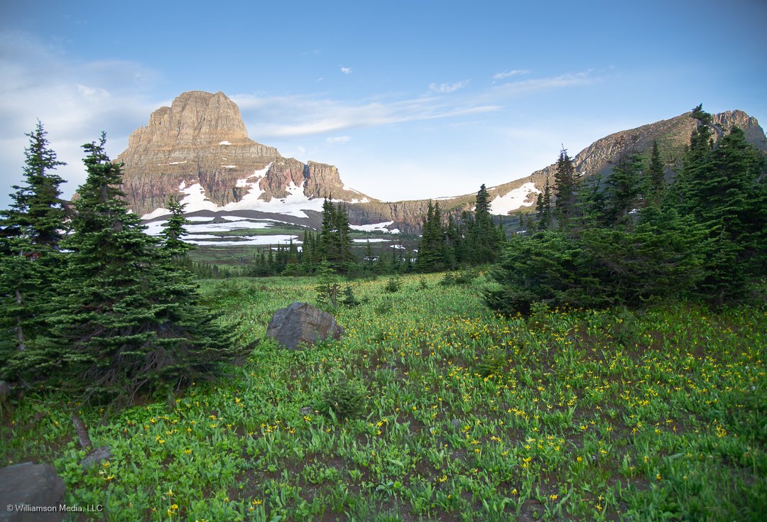 Logan Pass_GNP.jpg