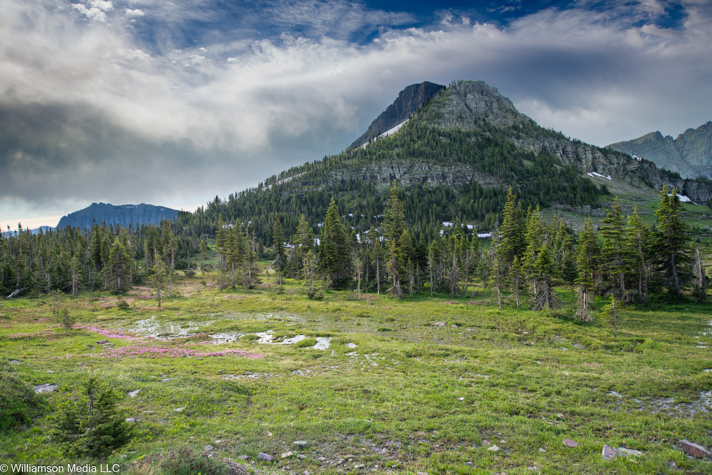 Landscapes