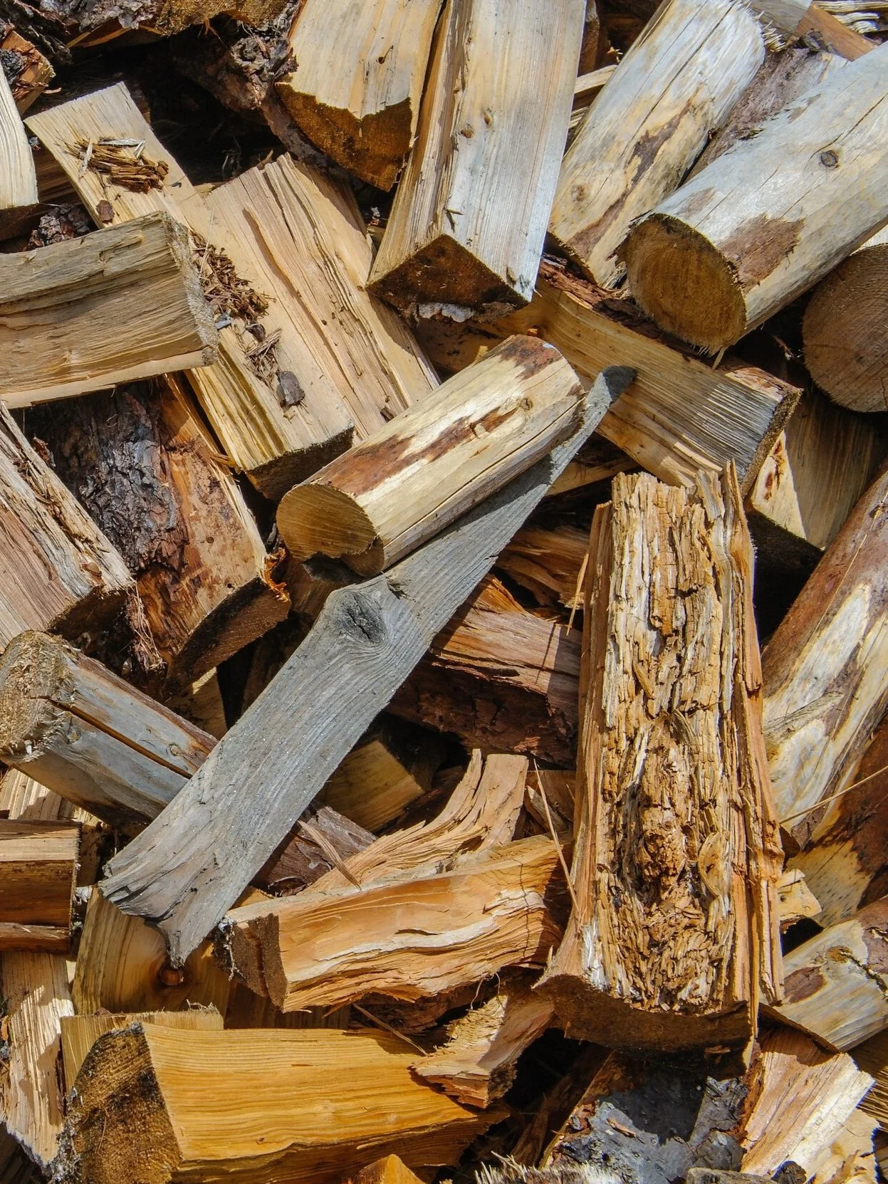 image-asset.jpg