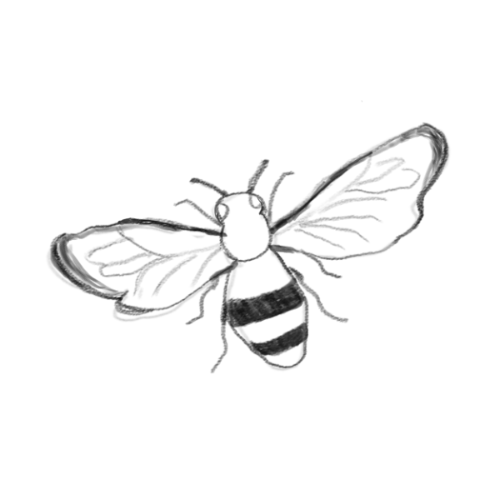 An illustration of a bee
