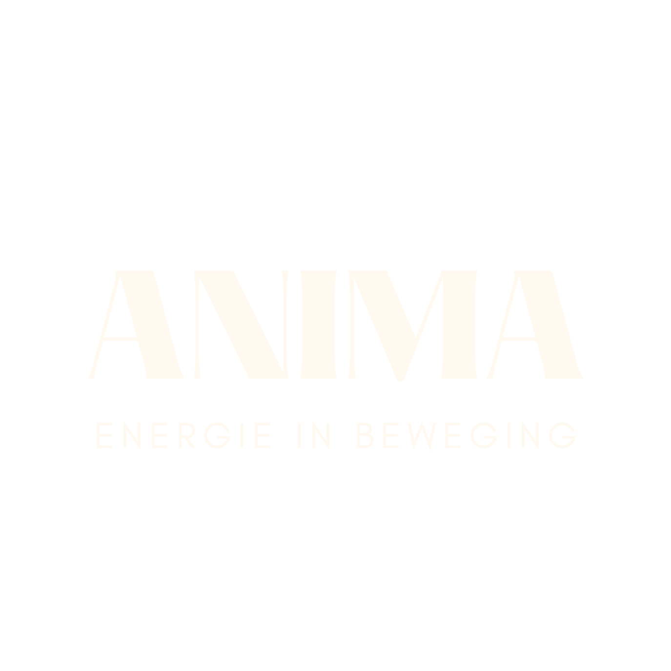 Anima energiewerk