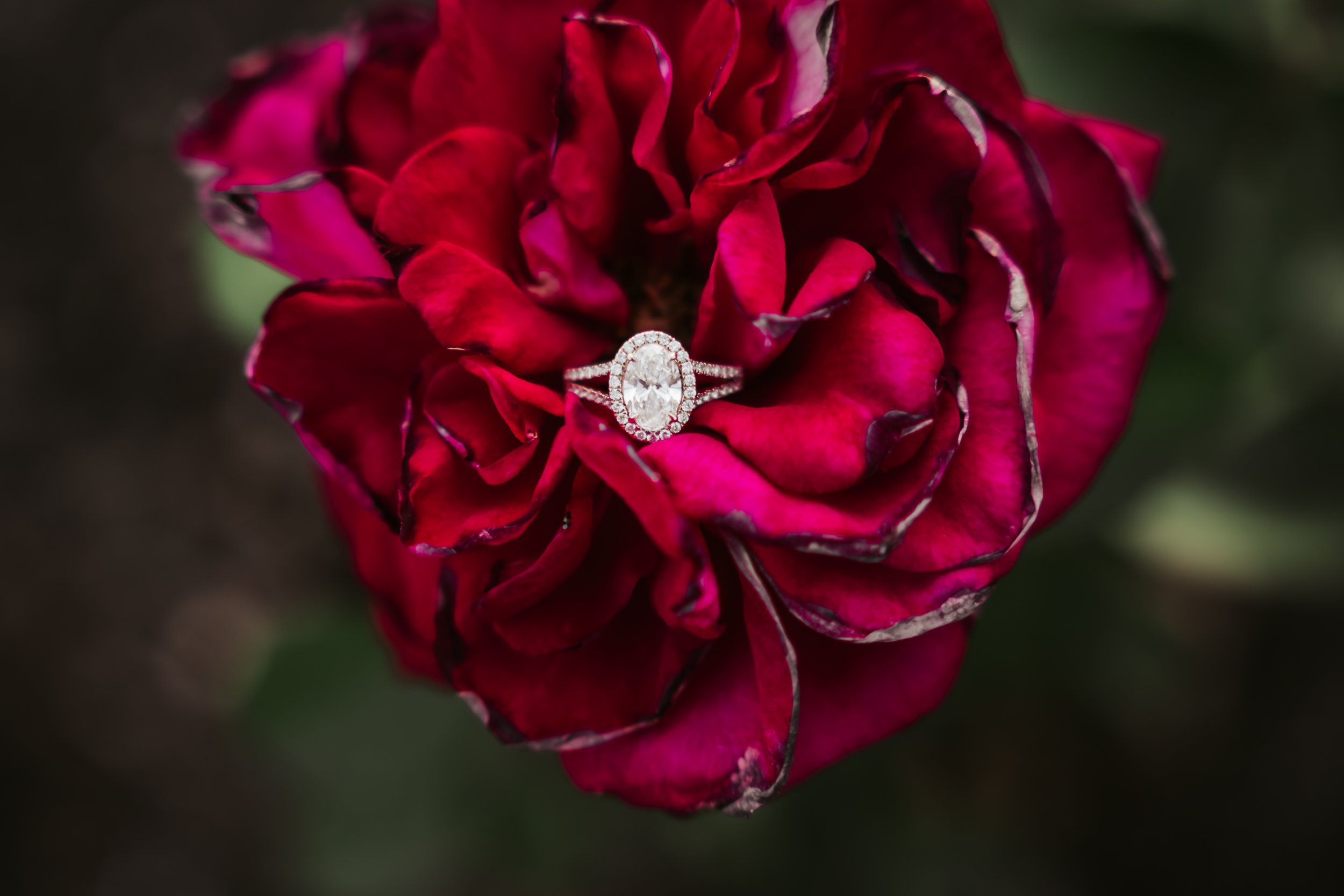 FreshFeaturePhoto-03273.jpg