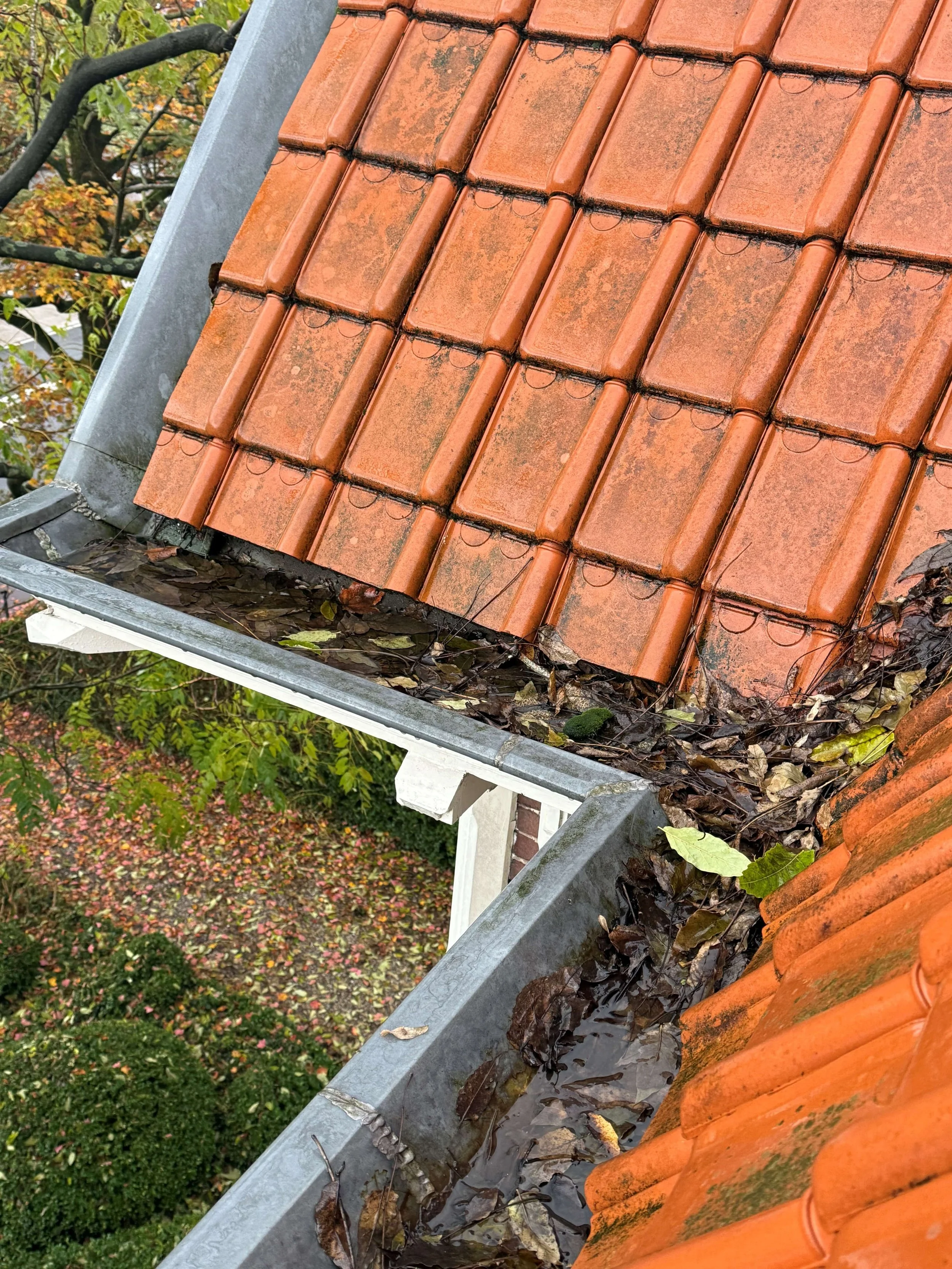 Dakgoot met opgehoopte bladeren en vuil naast rode dakpannen.