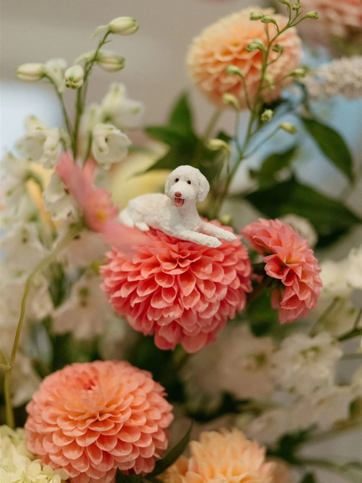 Just got the sneak peeks from the talented @oliverrabanes from K + D&rsquo;s dreamy summer day &mdash; couldn&rsquo;t resist sharing this cutie first! 🐶🤍 

Can&rsquo;t wait to share more from this beautiful day at @stanleyparkpav with the amazing @