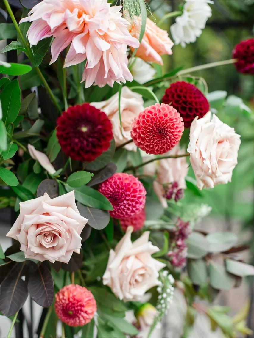 Moody yet romantic wedding florals in rich burgundy, dusty pink, with touches of peach and coral — perfect for late summer into autumn weddings! 🤎
Photography @daniellewongphotography 
Florals @hye.studio_ 
Venue - Queen’s Park Rose Gar