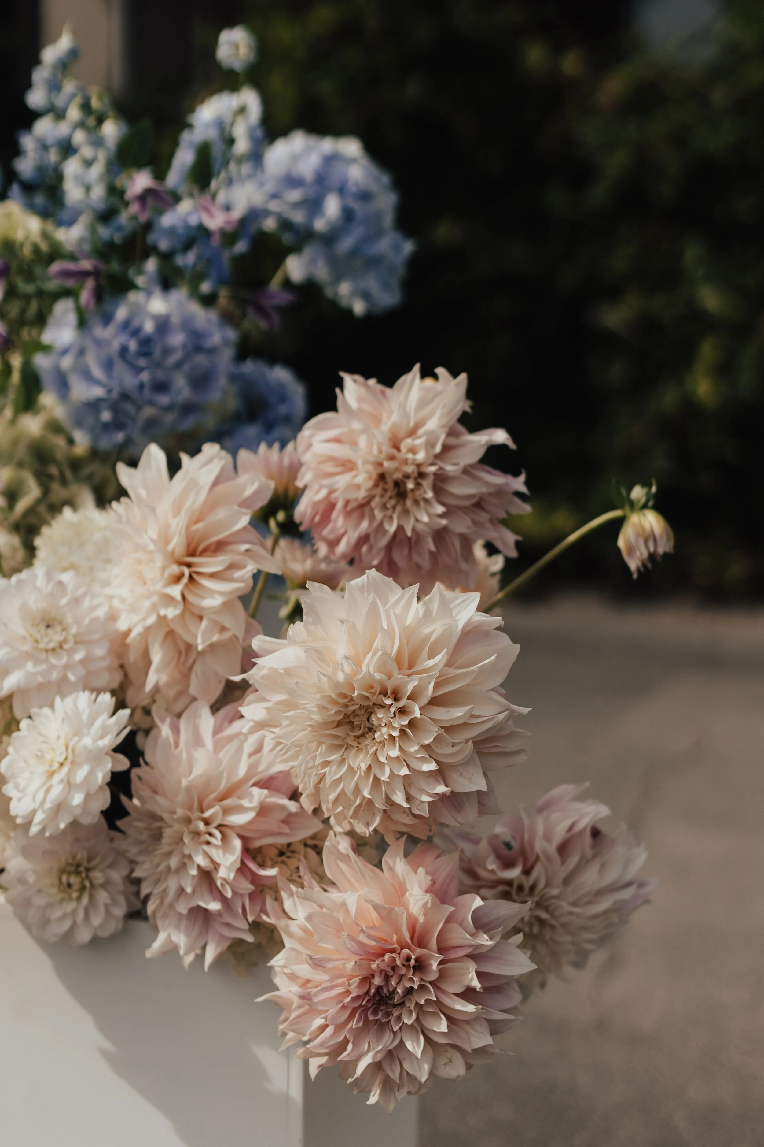 NomadbyNK~R&E17 (1).jpg