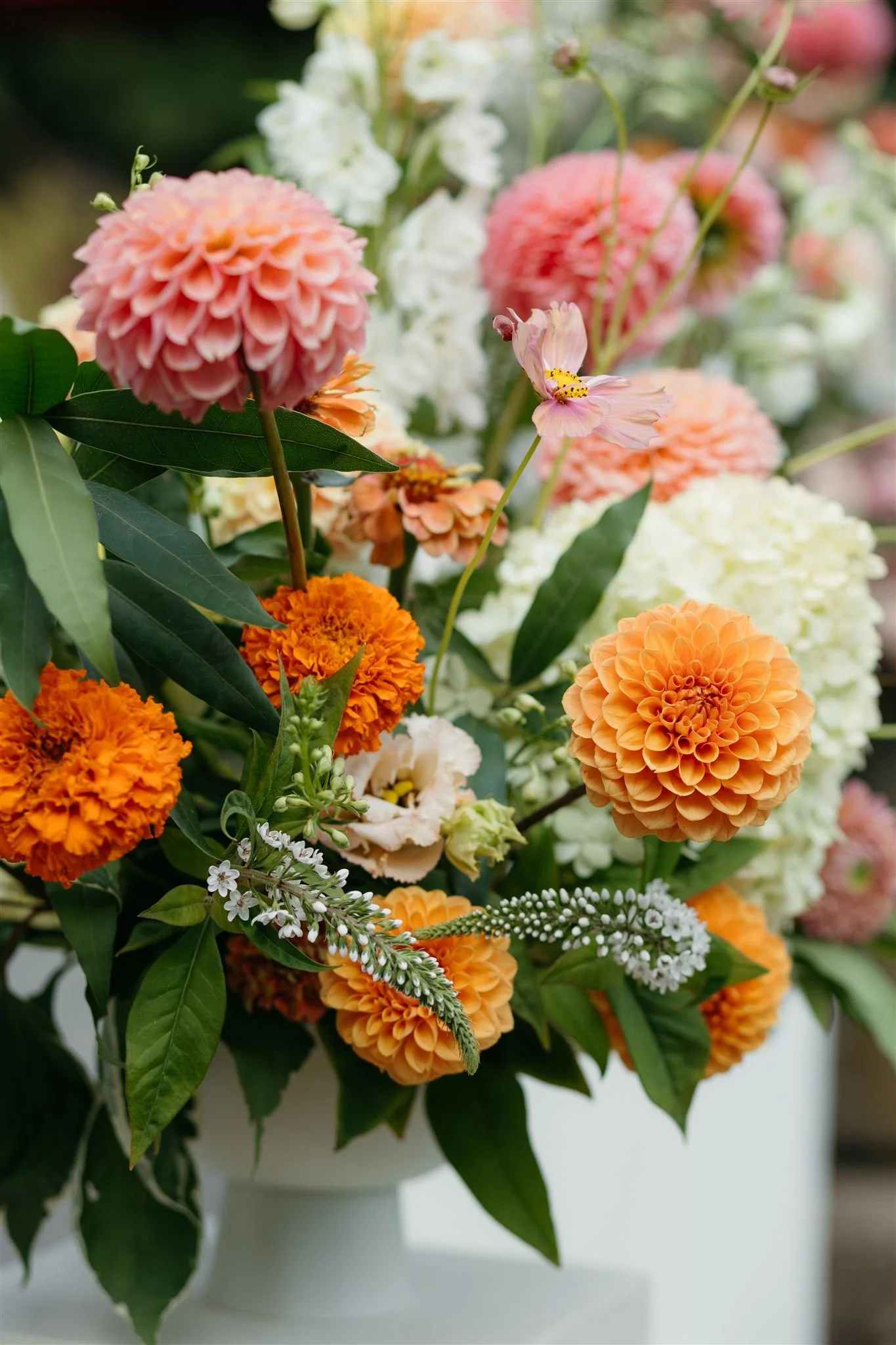 kim-darion-wedding-sneak-peeks-042_websize.jpg