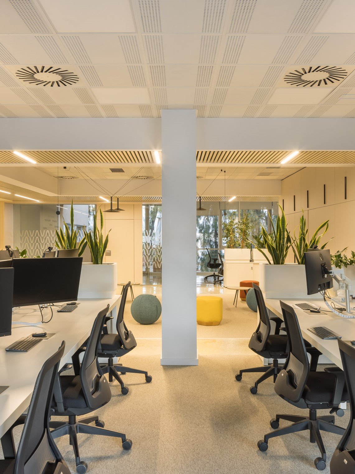 OFICINES ALTIMA_10.jpg