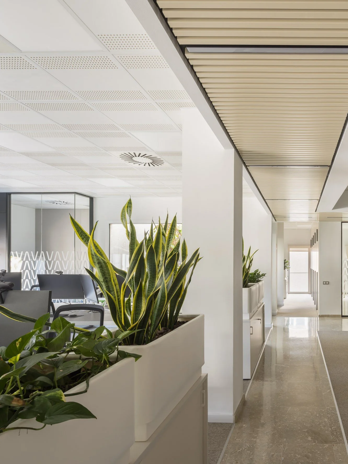 OFICINES ALTIMA_08.jpg