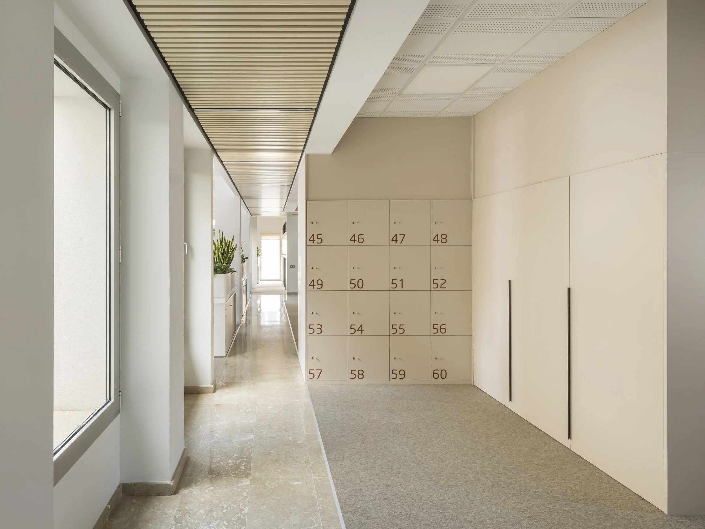 OFICINES ALTIMA_03.jpg